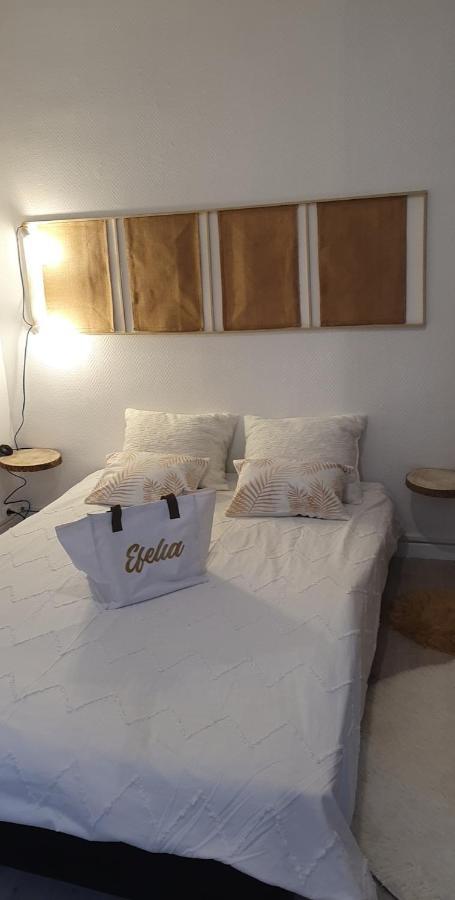 Maison Cosy Paris Orly Jardin Privee 圣吉欧梅斯 外观 照片